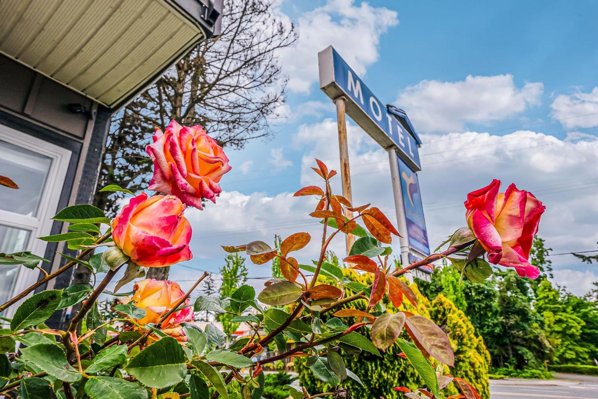 Bluebird Motel Nanaimo Ngoại thất bức ảnh